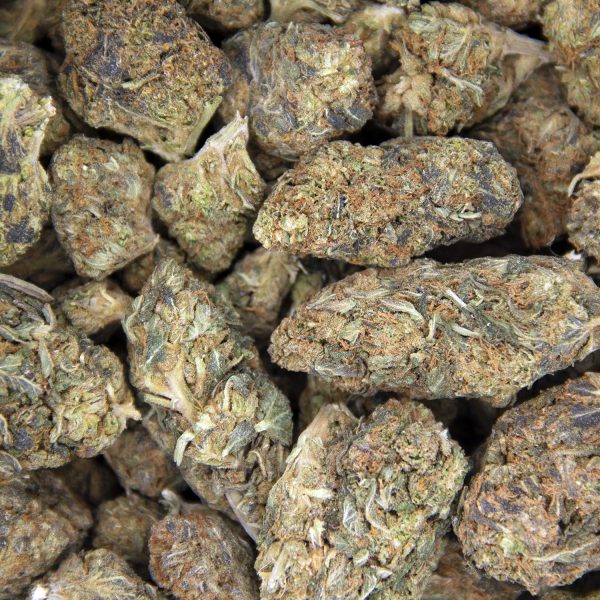 Trainwreck AA - Image 2