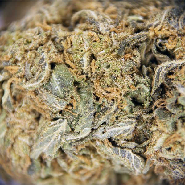 Trainwreck AA - Image 3