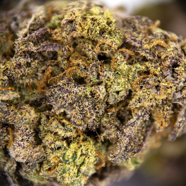 White Widow AA+ - Image 2