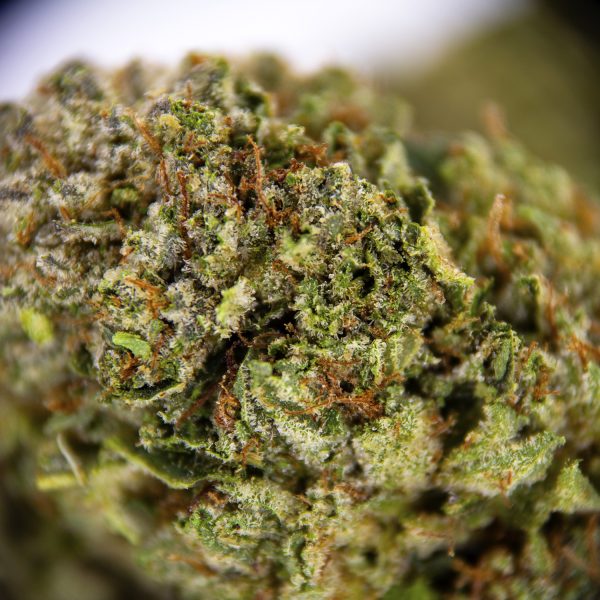 Bubba Kush AA+ - Image 3