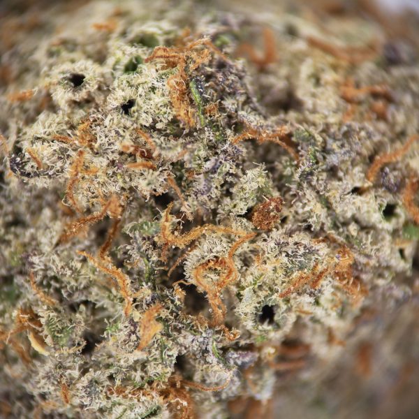Durban Poison AAA - Image 2