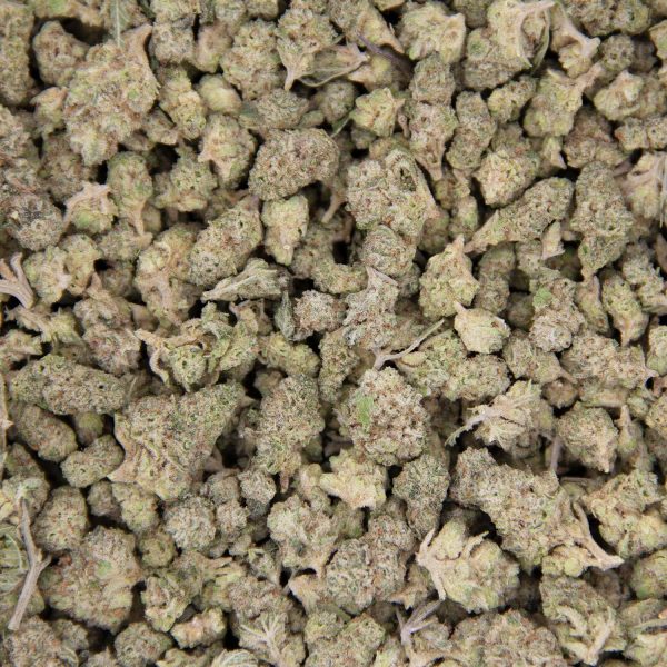 Lemon Haze (Popcorn) AAA - Image 3