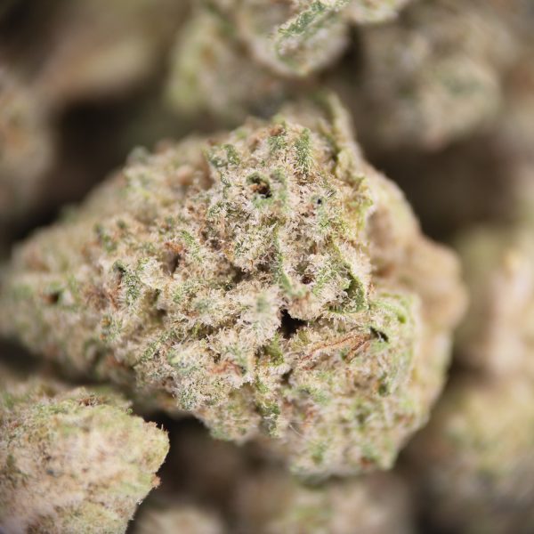 Lemon Haze (Popcorn) AAA - Image 2