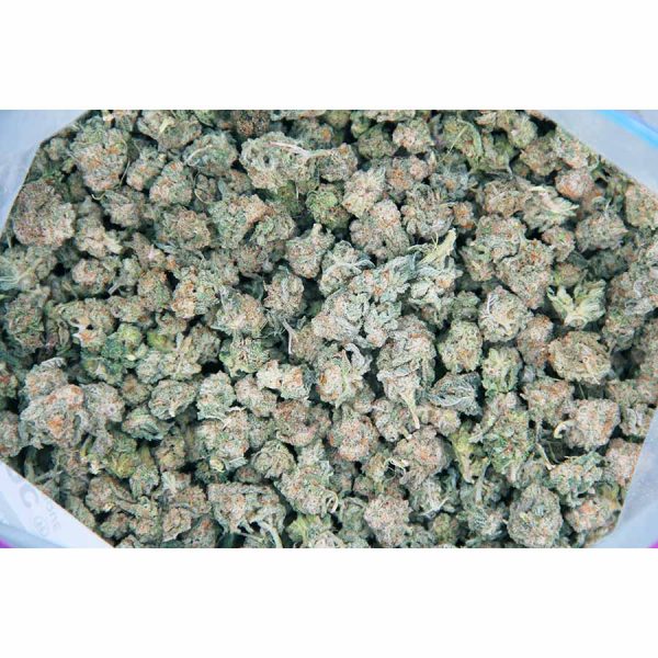 MAC1 AAA (popcorn) - Image 2