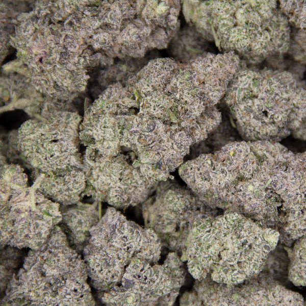 Mint Chocolate Chip  AAAA+/Craft - Image 3