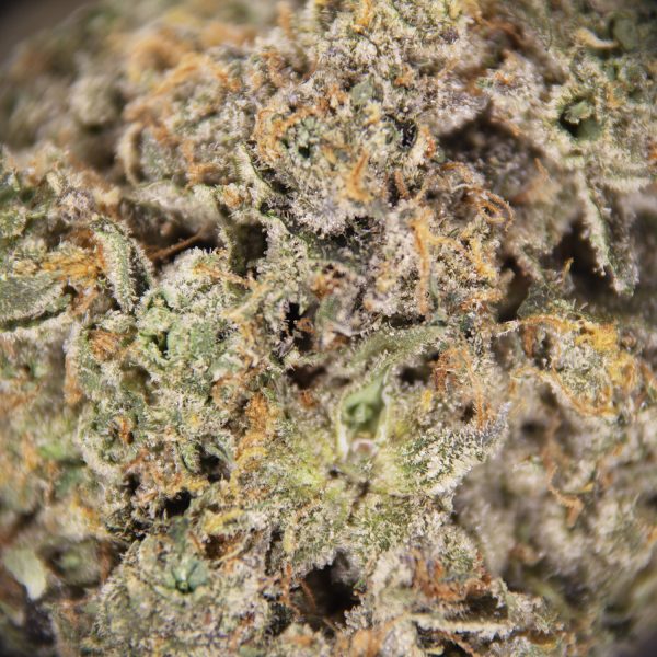 Pink Gushers AAAA - Image 3