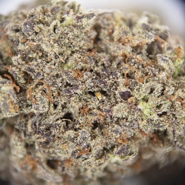 Purple Durian AAA - Image 2