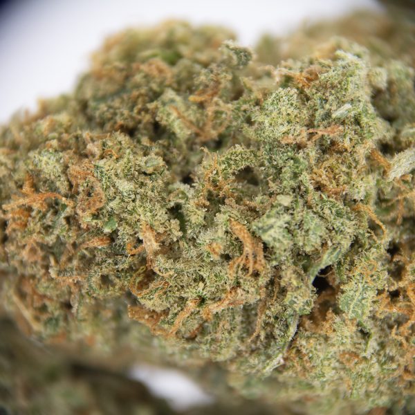 Super Silver Haze AAA - Image 2