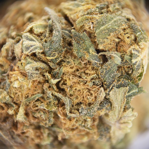 Tuna Kush AA - Image 2