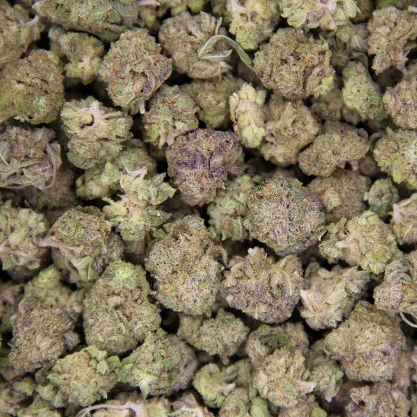 Blue Cheese (Popcorn) AAA - Image 2