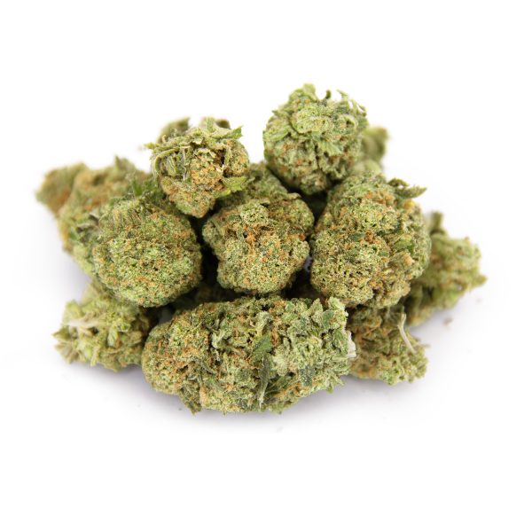 GG4 (mediums) AA