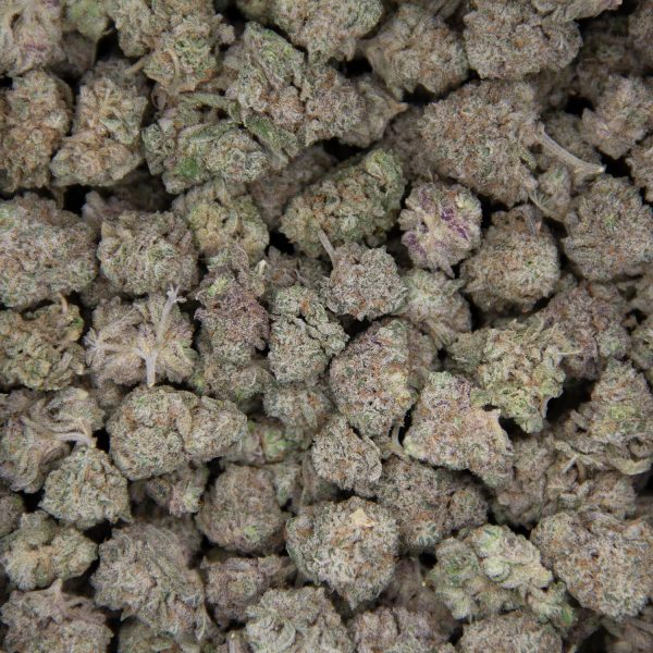 Gelato (smalls) AA - Image 2