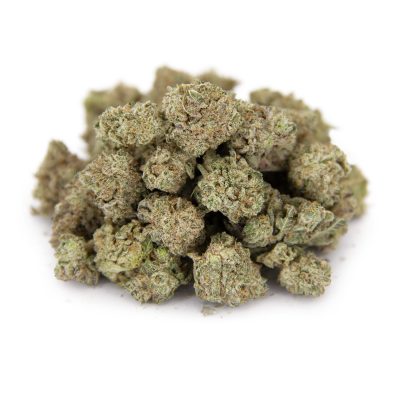 Gelato (smalls) AA