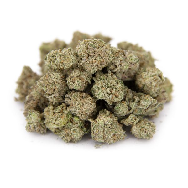 Gelato (smalls) AA