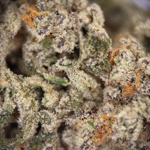 Goji Berry AAA - Image 2