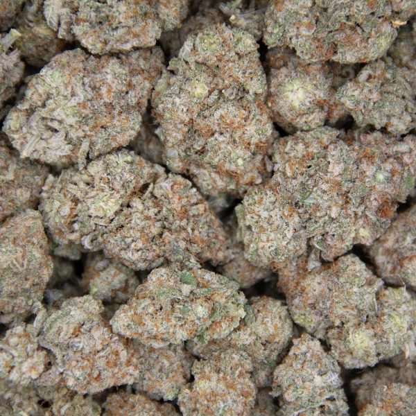 Grease Monkey (mediums) AA - Image 3