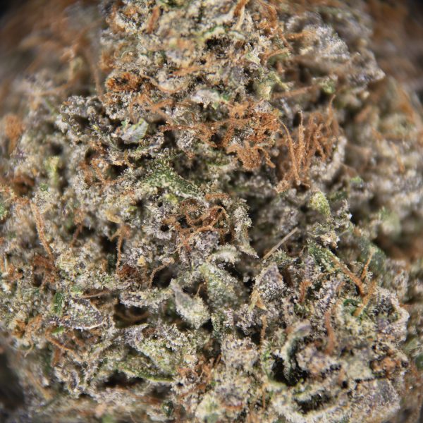 Hindu Kush AAA - Image 2