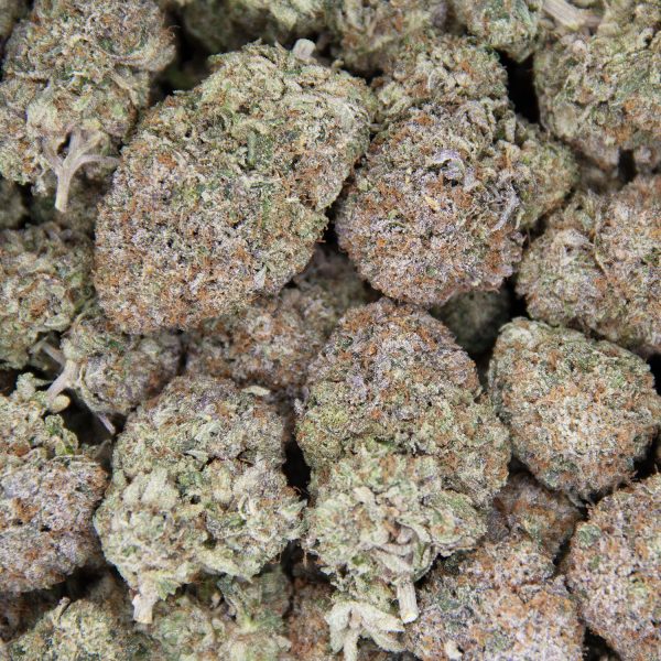 Hindu Kush AAA - Image 3