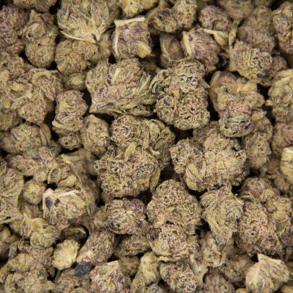 Krypt Melon (mediums) AA - Image 3