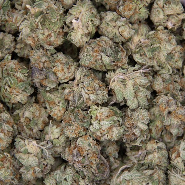 MK Ultra (mediums) AA - Image 2