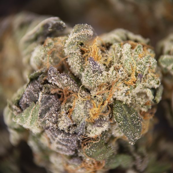 MK Ultra (mediums) AA - Image 3