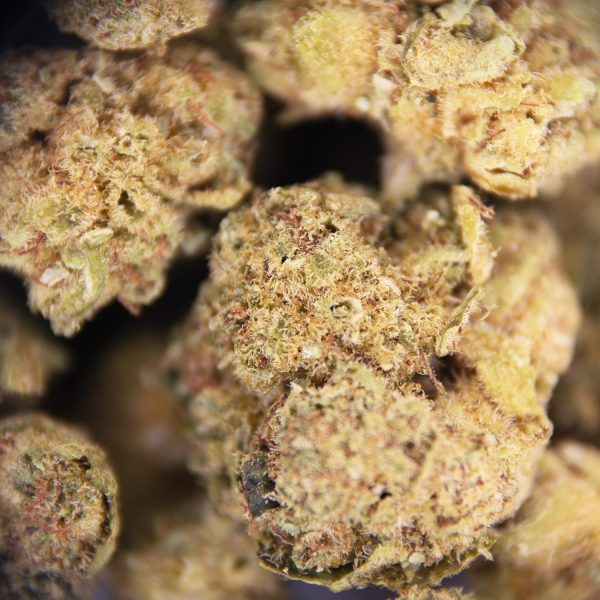 Orange Crush (popcorn) AA - Image 2