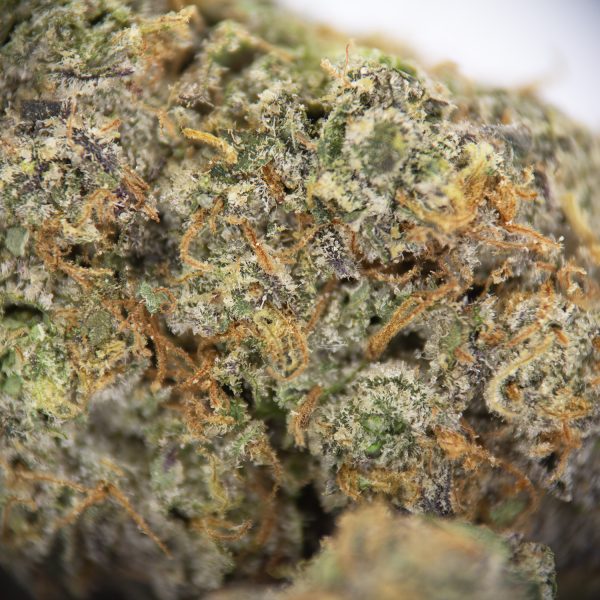 Orange Daiquiri AAA - Image 3