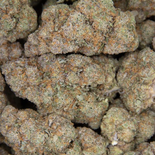 Panama Princess AAA+ - Image 3