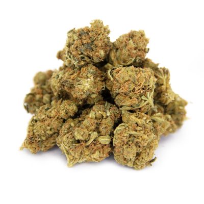 White Shark AA