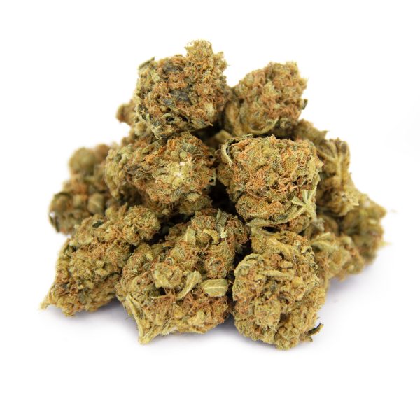 White Shark AA
