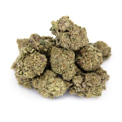Zookies (mediums) AA