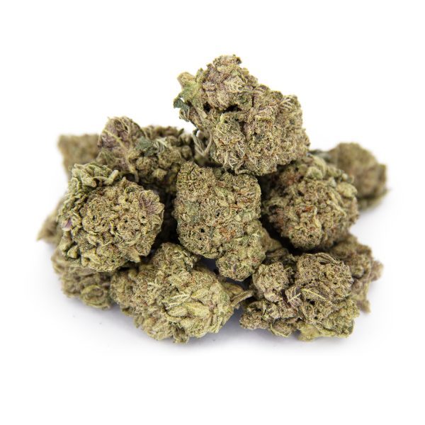 Zookies (mediums) AA