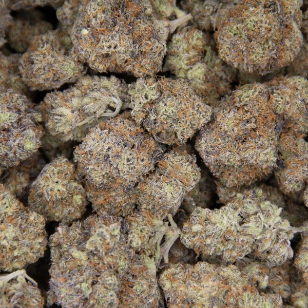 Blue Coma AAA - Image 3