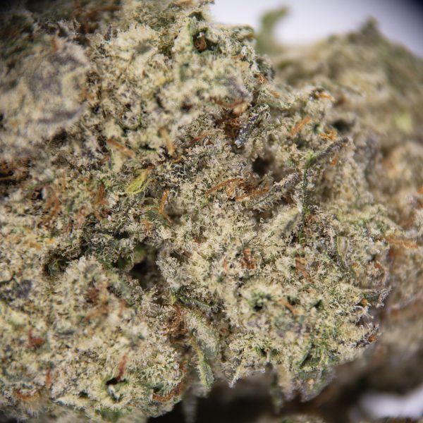 Donkey Butter AAA+ - Image 2