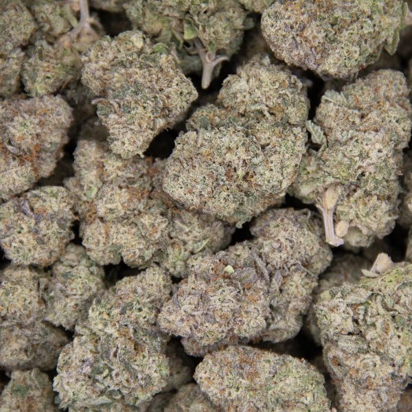 Donkey Butter AAA+ - Image 3