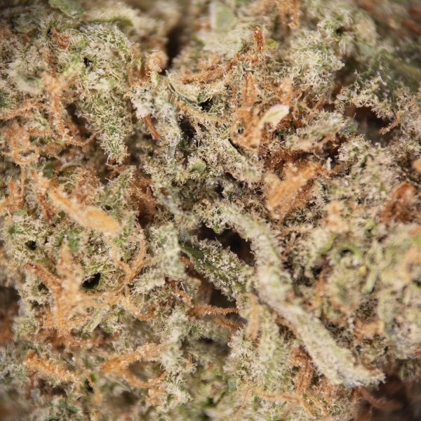 Super Silver Haze AAA - Image 2