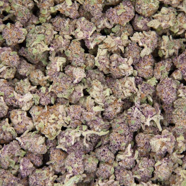 BC Blueberry (popcorn) AAA - Image 3