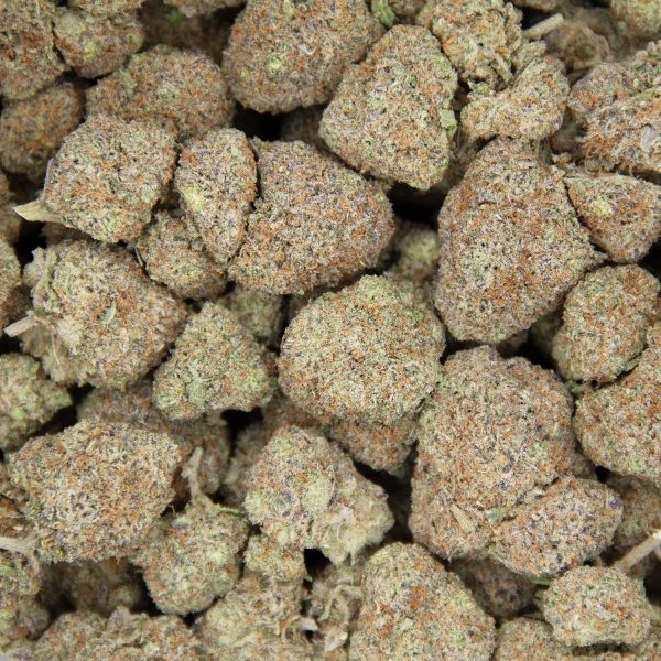 Black Truffle AAA - Image 3