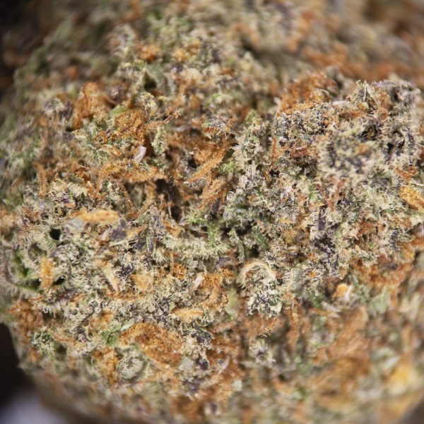 Black Truffle AAA - Image 2