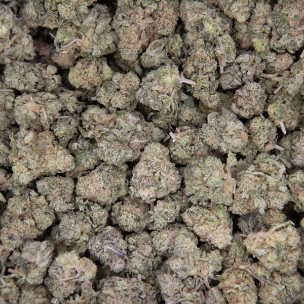 El Chapo (smalls) AA- - Image 3