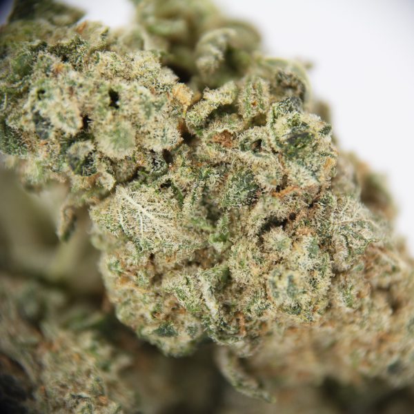 El Chapo (smalls) AA- - Image 2