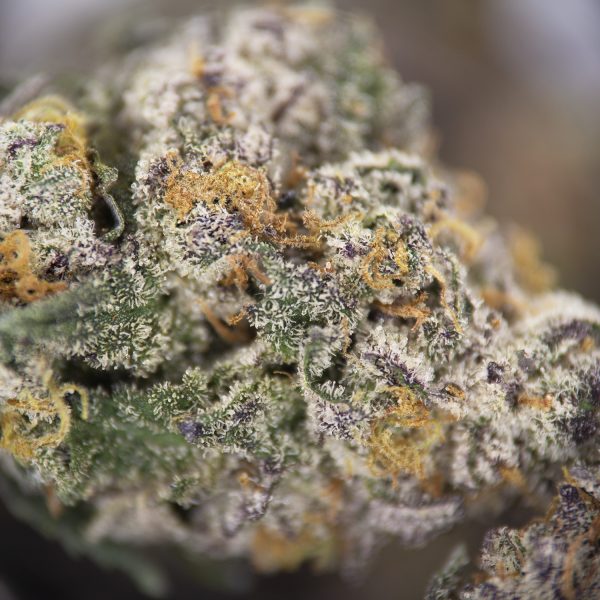 Platinum GDP (smalls) AAA - Image 2
