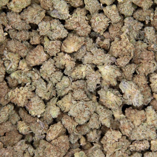 Sherbet (popcorn) AA- - Image 3