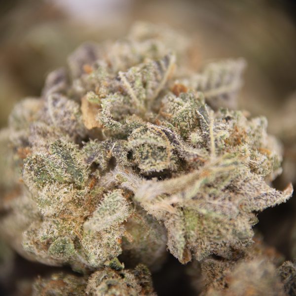 Sherbet (popcorn) AA- - Image 2