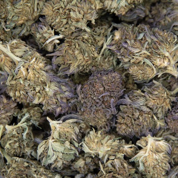 Sweet Purple AA- - Image 3