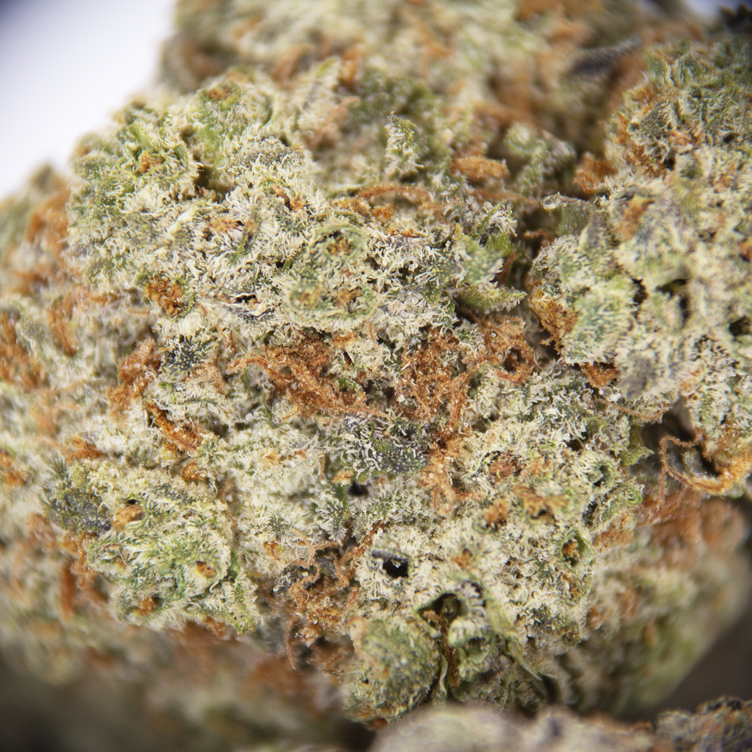 Rainbow Cake AAA- - Image 2