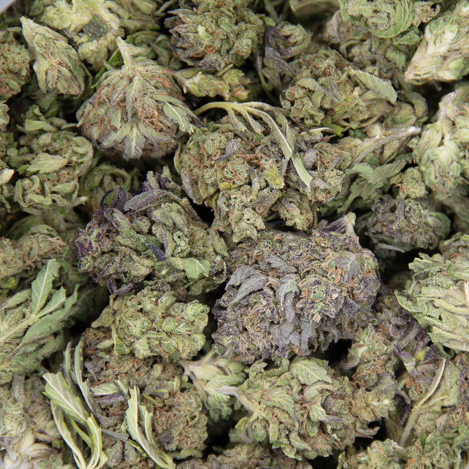 Strawberry Kush AA - Image 3