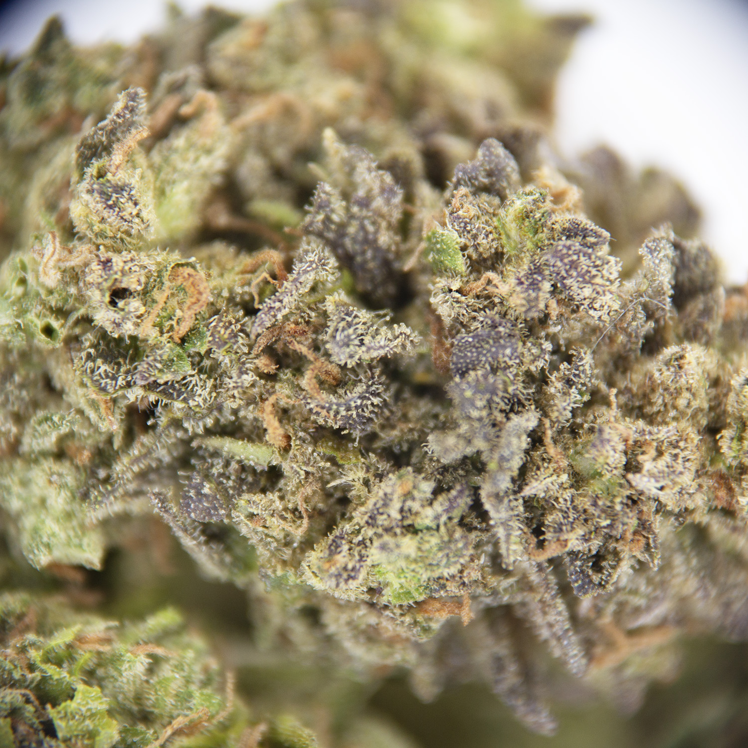 Strawberry Kush AA - Image 2