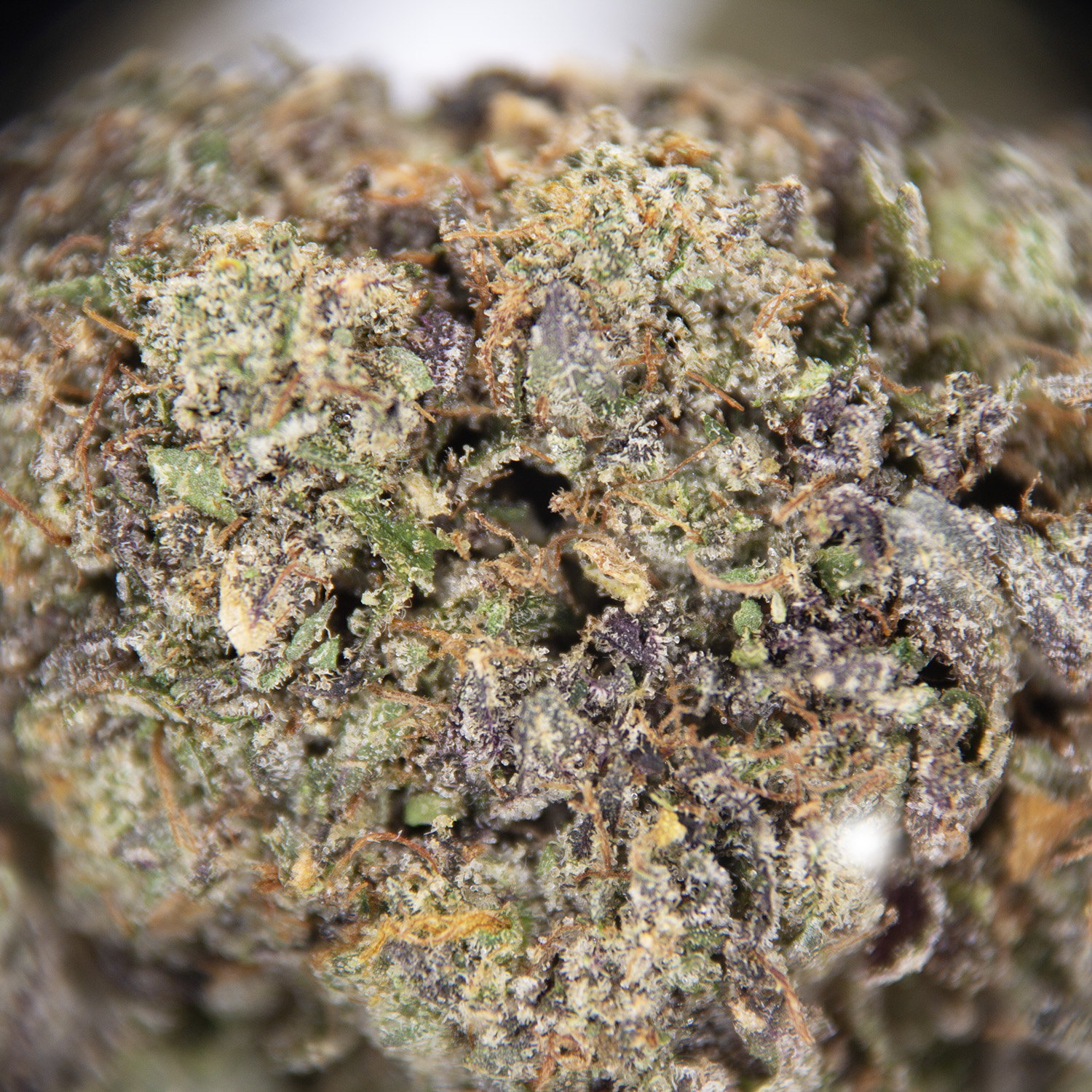 Death Bubba AAA- - Image 2