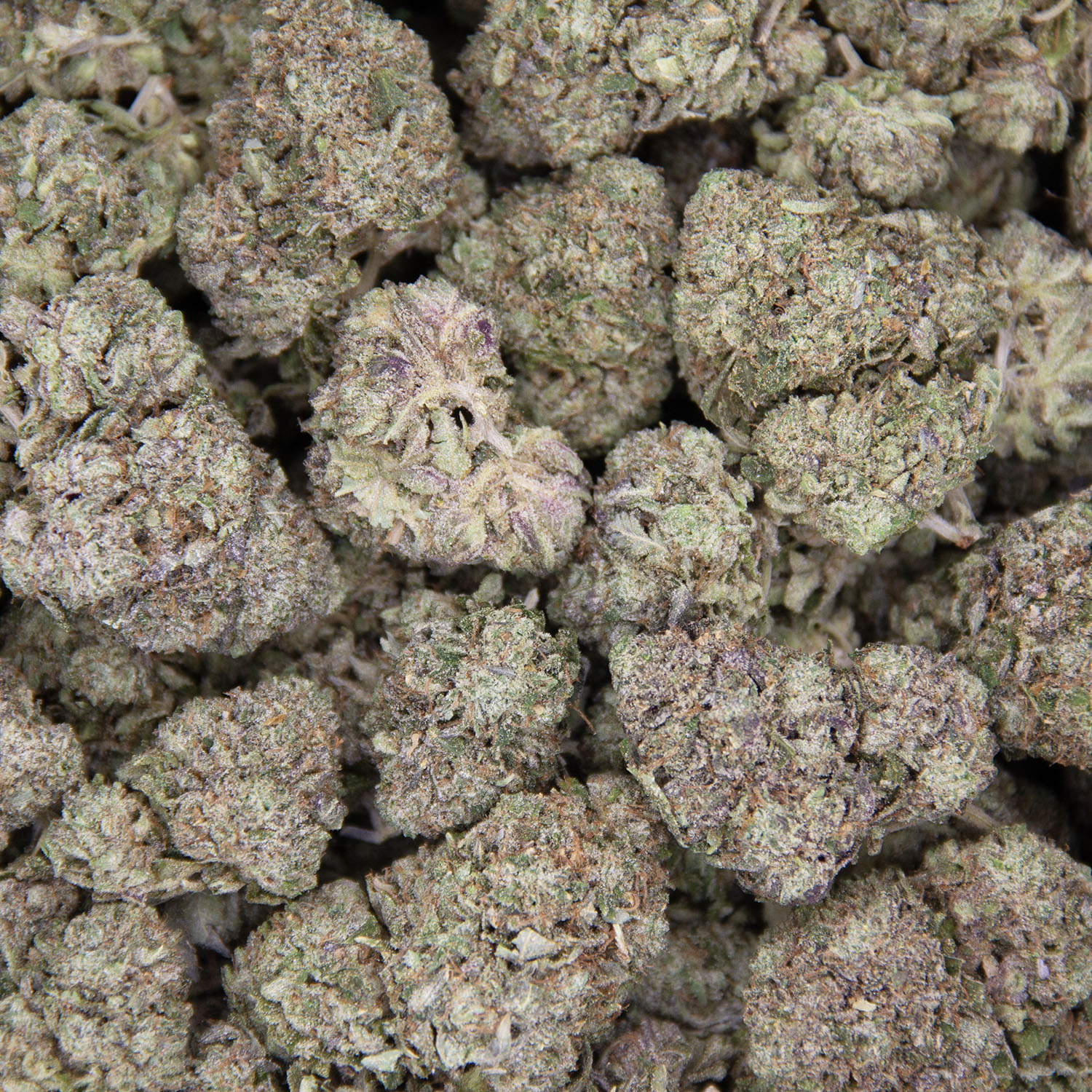 Death Bubba AAA- - Image 3